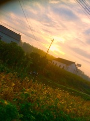 E06300C0-9053-421B-B3FD-03BE7C353695/L0/001