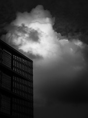 19356