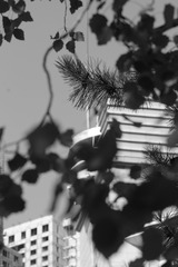 1347383