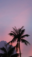 162028