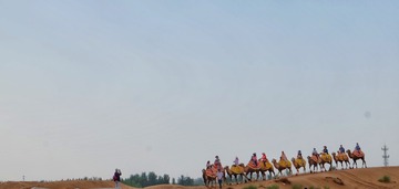 1655629