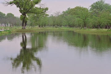 4250