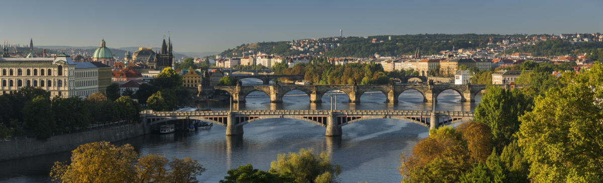 小小木木木 - 图虫网 - 优质摄影师交流社区