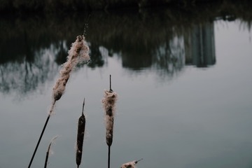 B569F0B5-722C-4A72-9F6B-498D0614C215/L0/001