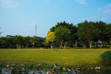 55BA9985-D271-4D13-A6E7-C3F3F67BF7A9/L0/001