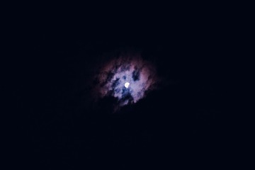 5566F2F2-45B7-4936-833C-6939EE389FCB/L0/001