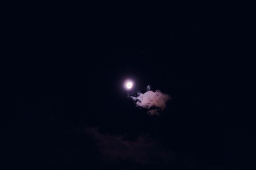 1AAC5857-F15D-44C2-B0B8-68B8B176E745/L0/001