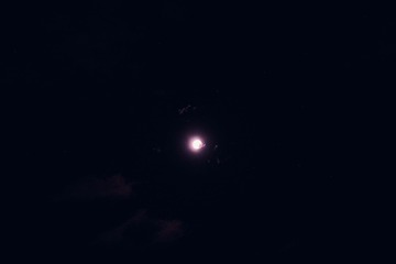 D16D2B61-B4FE-4EF2-A445-4A3EEB6E9284/L0/001