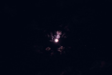 55AE8291-6865-4E7A-A655-64E4E58362D4/L0/001