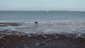 CA22FD88-5E21-4FD7-A7D4-94C7195795AB/L0/001
