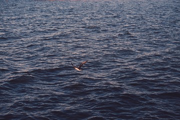 2AD01751-BDBB-469F-9A2A-6F0193C320F5/L0/001