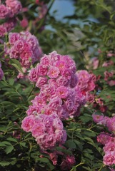F50E6020-93FC-4D71-8593-4CB16287001F/L0/001