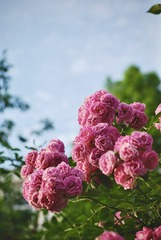 3D8D7F5D-9BC9-44FF-8917-FD9873207F0C/L0/001