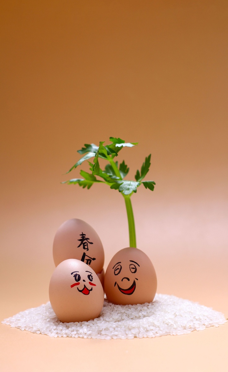 2022开心每一天春分立蛋