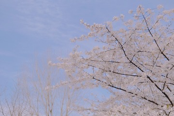 A00760A2-7A1E-4AA3-8F8F-055EF60FB4B0/L0/001