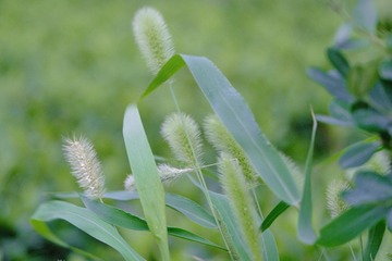 6B4362E2-CF14-4DB2-85C5-5079FF4C0B6B/L0/001