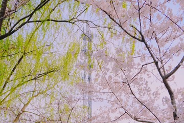 07396B9A-496F-4700-9E1C-22330691AE7B/L0/001