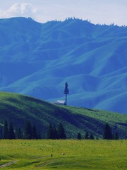 F26EF2EA-44CC-4A34-AC15-9780F60D5D7F/L0/001