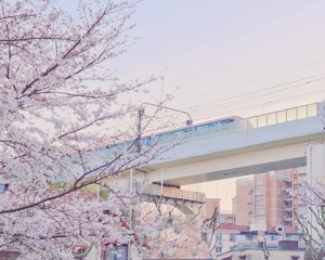 0CA4CCCF-F5DF-4903-9942-028A626C1503/L0/001