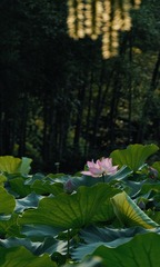 5ECBEEDB-8A69-49AB-802F-FC60EB2C2425/L0/001