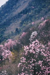 E313A139-0937-42A2-9B79-70F146BF7624/L0/001