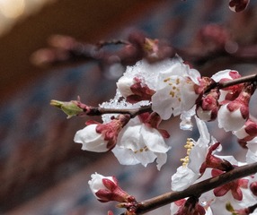 C334742F-F117-4C75-84A6-7116465068CB/L0/001