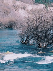 69FE22E1-D83B-4FC5-8B6E-7DDEF2908701/L0/001