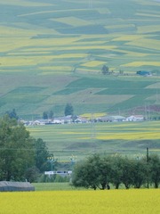91575D87-384A-4CF9-A2A6-4D9D24C9F5D4/L0/001