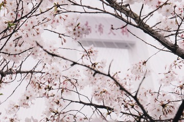 B764D9CD-C305-46B5-84FA-35464FA7827D/L0/001