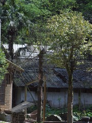C555D853-7CD2-4E3D-997C-EF467503C0F4/L0/001