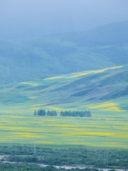 98E3FD90-28B7-43CA-B68A-909A2B9FB080/L0/001