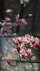 F3B36283-AD82-4E8E-9316-D9A3237D06F7/L0/001