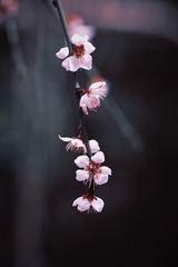 15B5CC2F-05F4-4E95-99F7-62447A12DAE0/L0/001