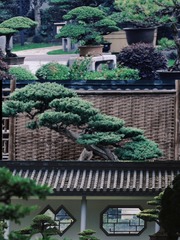 8572F7FD-920E-4247-B7F8-1871852A57C4/L0/001