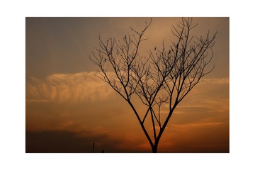 2CC0F91C-4229-43CB-AC59-40CE5EB5E35A/L0/001