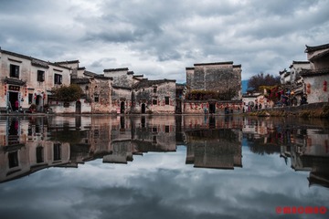 DSC_6567-1
