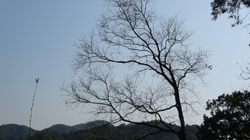 A842FD05-F030-44A5-B753-C24C079B3FC0/L0/001