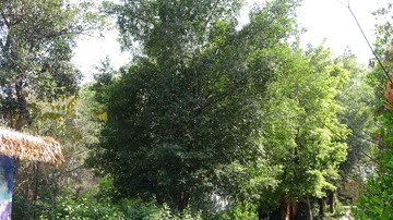 B376FD01-088D-4AE5-AD7A-30CFDCEF2EE0/L0/001