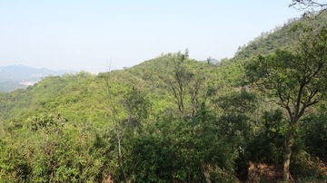 F71626F9-6EB8-4C8B-ABA3-B674F049AA28/L0/001
