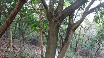 2F00E935-BC8D-455E-AE1F-25BC15FC3CD8/L0/001