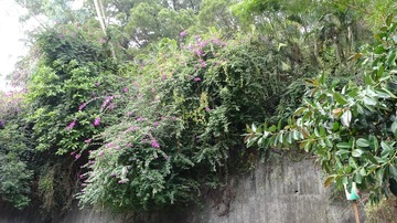 24A8D5D7-10F3-4B9E-A4A7-03663E503135/L0/001