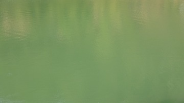 9F1CB29C-F494-4337-8A63-9B30AAB0B858/L0/001