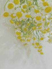 878A6CD9-61E0-426F-BF5E-F02E39484A80/L0/001