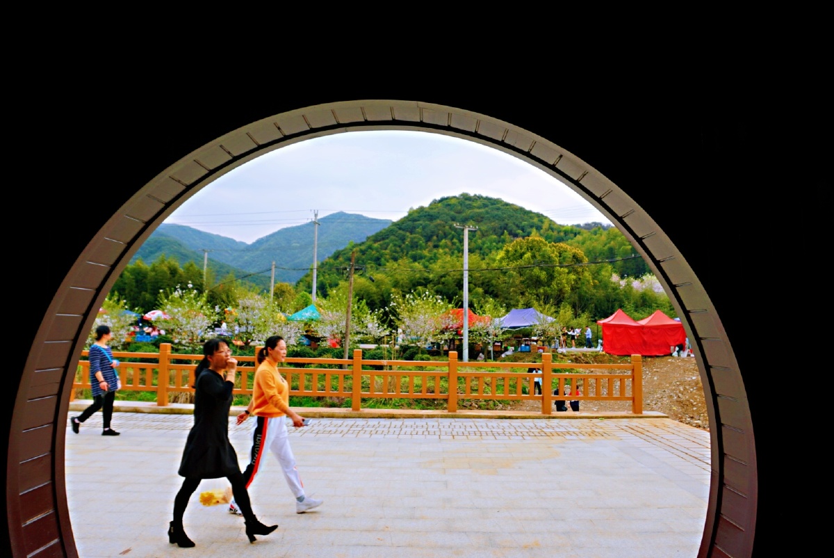 谁比谁更美上虞张村樱花谷