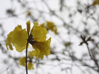 33240196-614E-4989-B6A3-BBA4D3499019/L0/001