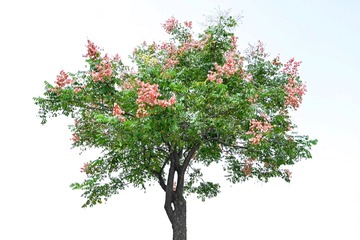 6A82F6AF-BFC9-4253-8810-BE02860EABC6/L0/001