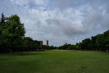 2610D7EB-5B16-4042-A2DB-4FA0D483FBBE/L0/001