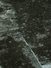 6061659