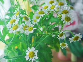 CE652E58-9A6B-4547-AAD9-B149DF86779C/L0/001