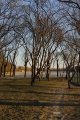 imgp5133-r
